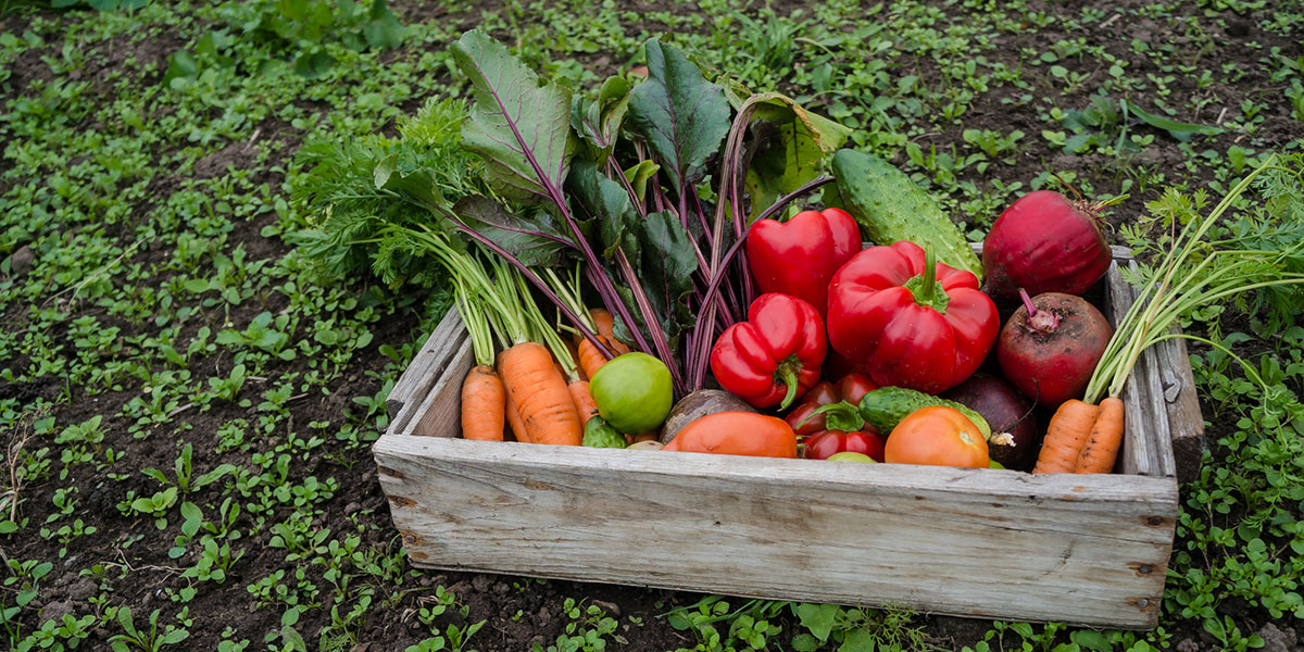 Sản phẩm Thực phẩm